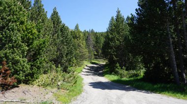 Andorra 'daki Canillo dağlarının doğa manzarası güneşli bir yaz öğleden sonrası