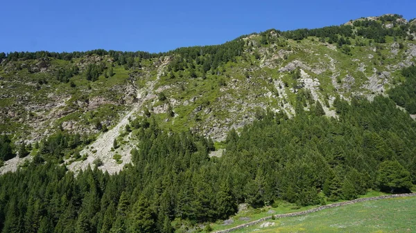 Paysage Naturel Des Montagnes Canillo Andorre Après Midi Été Ensoleillé — Photo