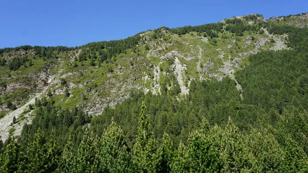 Naturlandschaft Des Canillo Gebirges Andorra Einem Sonnigen Sommernachmittag — Stockfoto