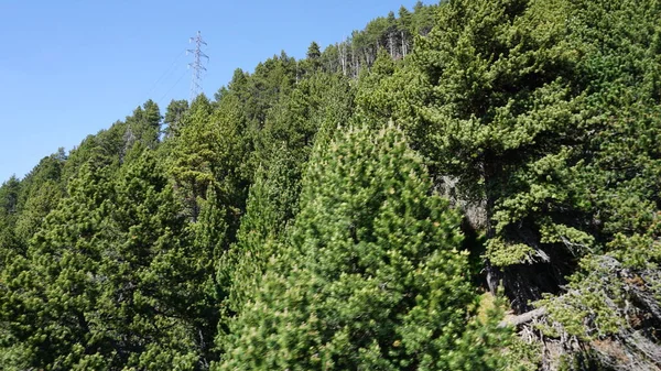 アンドラのカニーリョ山脈の自然景観晴れた夏の午後 — ストック写真