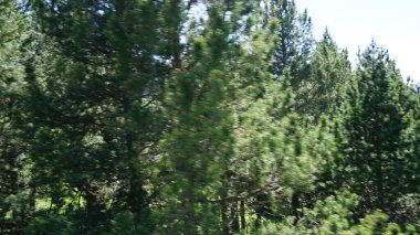 Canillo Andorra 'daki kırsal dağ manzarası