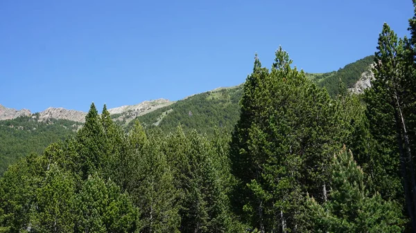 Paisaje Rural Montaña Canillo Andorra —  Fotos de Stock