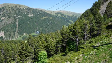 Güneşli bir günde Andorra dağlarında yeşil köknar ağaçları
