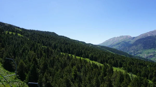 Sapins Verts Dans Les Montagnes Andorre Par Une Journée Ensoleillée — Photo
