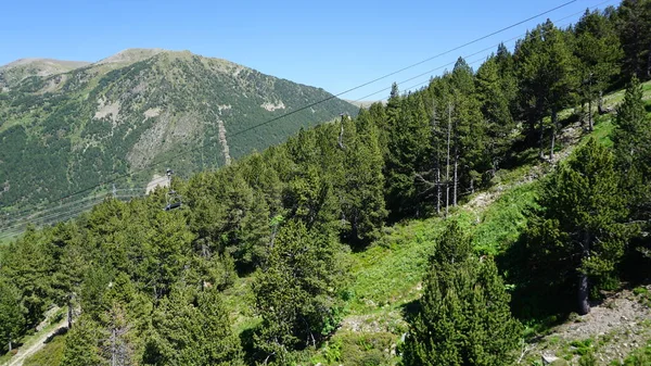 Gröna Granar Bergen Andorra Solig Dag — Stockfoto