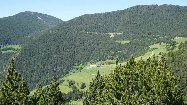 Excursion Montagne Belvédère Roc Del Quer Canillo Andorre — Photo