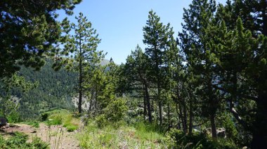 Canillo, Andorra 'daki Mirador del Roc del Quer' den dağ manzarası