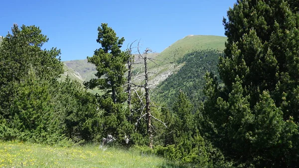 Berglandschaft Vom Mirador Del Roc Del Quer Canillo Andorra — Stockfoto