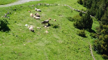 Andorra Dağları Canillo 'da güneşli bir yaz öğleden sonrası manzarası