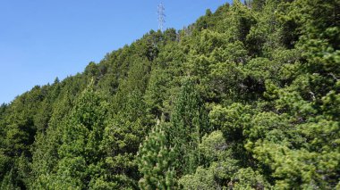 Andorra Dağları Canillo 'da güneşli bir yaz öğleden sonrası manzarası