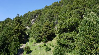 Andorra Dağları Canillo 'da güneşli bir yaz öğleden sonrası manzarası