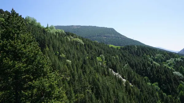 Andorra Dağları Canillo 'da güneşli bir yaz öğleden sonrası manzarası