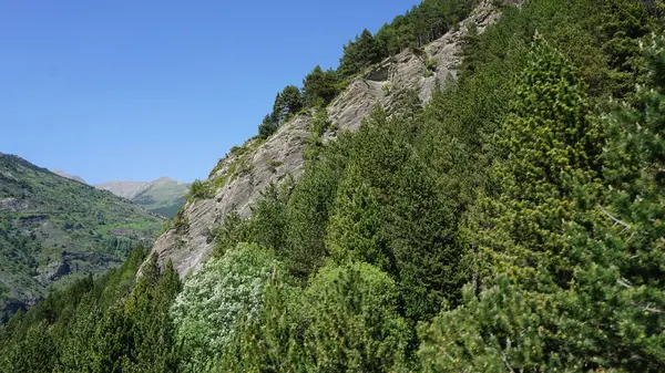 Андорра Гірський Пейзаж Канільйо Сонячний Літній День — стокове фото