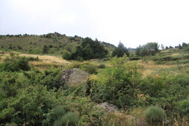 Andorra 'daki Incles vadisinde kırsal ve dağ manzarası