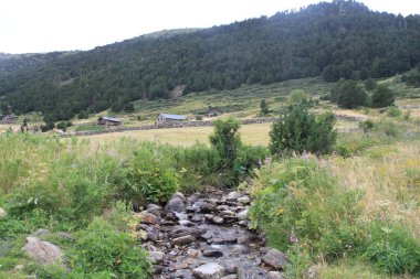 Andorra 'daki Incles vadisinde kırsal ve dağ manzarası