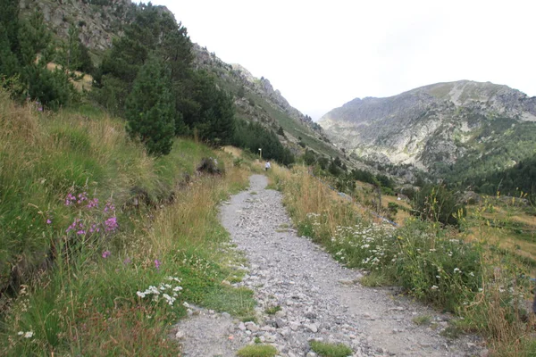 Peisaj Rural Montan Valea Incles Din Andorra — Fotografie, imagine de stoc
