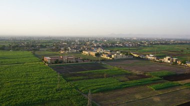 Luxor, Mısır, Afrika 'daki Nil nehrinin kıyısındaki şeker kamışı tarlalarının havadan görünüşü