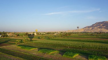 Luxor, Mısır, Afrika 'daki Nil nehrinin kıyısındaki şeker kamışı tarlalarının havadan görünüşü
