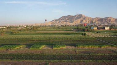 Luxor, Mısır, Afrika 'daki Nil nehrinin kıyısındaki şeker kamışı tarlalarının havadan görünüşü