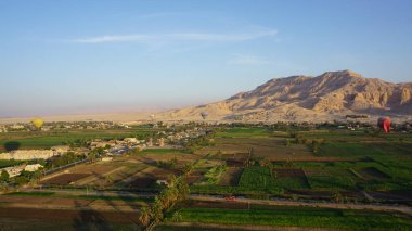 Luxor, Mısır, Afrika 'daki Nil nehrinin kıyısındaki şeker kamışı tarlalarının havadan görünüşü