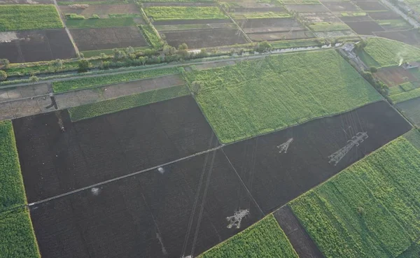Vista Aérea Das Plantações Cana Açúcar Nas Margens Rio Nilo — Fotografia de Stock