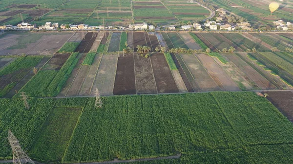 Aerial View Sugar Cane Plantations Banks Nile River Luxor Egypt — Stock Photo, Image