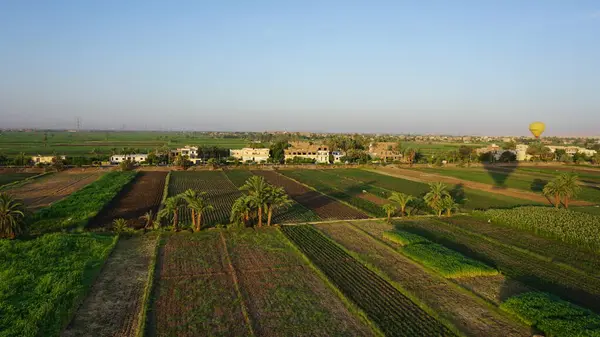 Letecký Pohled Plantáže Cukrové Třtiny Březích Řeky Nilu Luxoru Egyptě — Stock fotografie