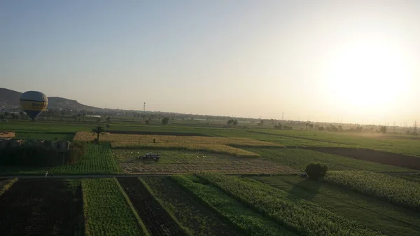 Вид Воздуха Плантации Сахарного Тростника Берегах Реки Нил Луксоре Египет — стоковое фото