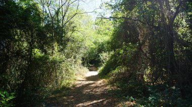 Bask ülkesinde Zumaia ve Deba arasındaki GR121 rotasındaki kırsal ve dağ manzarası