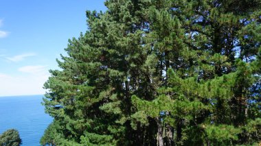 Bask ülkesinde Zumaia ve Deba arasındaki GR121 rotasındaki kırsal ve dağ manzarası