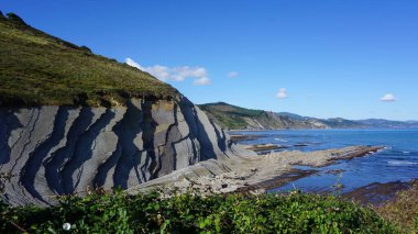 Bask Ülkesi 'ndeki Zumaia sineğinin görüntüleri