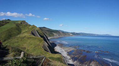 Bask Ülkesi 'ndeki Zumaia sineğinin görüntüleri