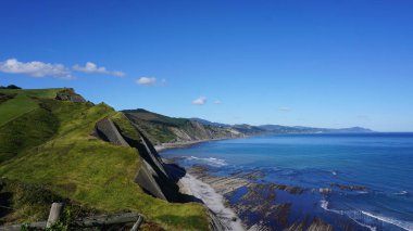 Bask Ülkesi 'ndeki Zumaia sineğinin görüntüleri
