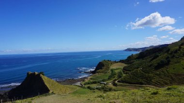 Zumaia, Bask Ülkesi 'nde Portutxiki' nin vahşi biyotipi