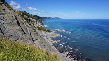 Zumaia, Bask Ülkesi 'nde Portutxiki' nin vahşi biyotipi