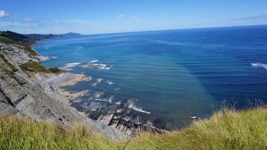 Zumaia, Bask Ülkesi 'nde Portutxiki' nin vahşi biyotipi