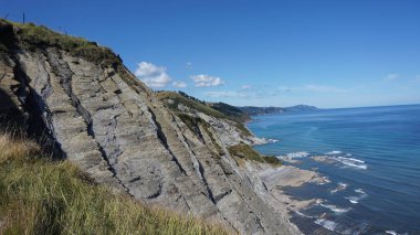 Zumaia, Bask Ülkesi 'nde Portutxiki' nin vahşi biyotipi