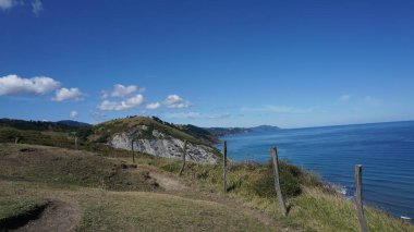 Zumaia, Bask Ülkesi 'nde Portutxiki' nin vahşi biyotipi