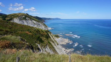Zumaia, Bask Ülkesi 'nde Portutxiki' nin vahşi biyotipi