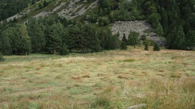 Dağ manzarası, doğa ve kırsal Valle D 'Incles, Andorra