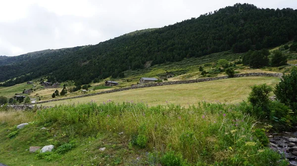 Peisaj Montan Natură Rurală Valle Incles Andorra — Fotografie, imagine de stoc