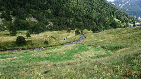 Гірський Пейзаж Природа Сільська Місцевість Валле Інклс Андорра — стокове фото