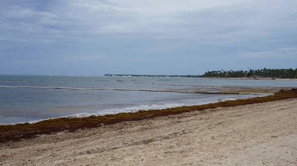 Punta Cana Dominicaanse Republiek Augustus 2023 Punta Cana Beach Playa — Stockfoto