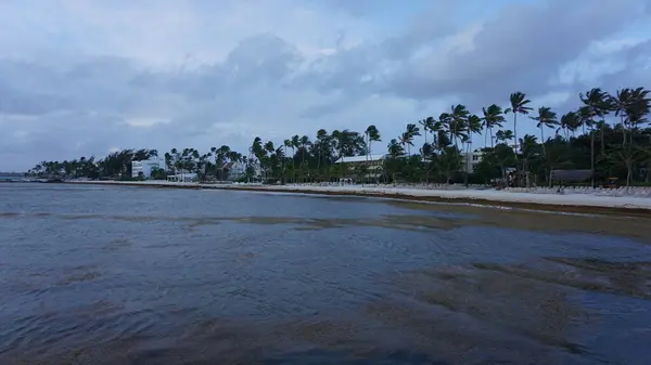 Punta Cana Playa Bavaro República Dominicana Agosto 2023 Paisagem Praia — Fotografia de Stock