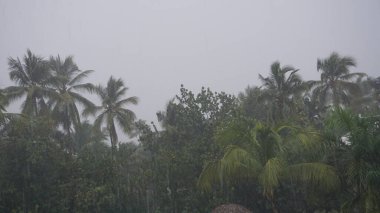 Punta Cana 'da 23 Ağustos 2023' te Dominik Cumhuriyeti 'nde meydana gelen tropikal fırtına nedeniyle yağmur ve rüzgar Franklin' i vurdu.