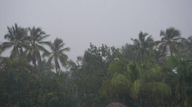 Punta Cana 'da 23 Ağustos 2023' te Dominik Cumhuriyeti 'nde meydana gelen tropikal fırtına nedeniyle yağmur ve rüzgar Franklin' i vurdu.