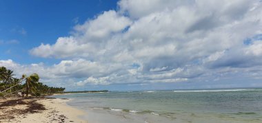 Punta Cana Dominik Cumhuriyeti 'nde hindistan cevizi ağaçları olan sahil manzarası.