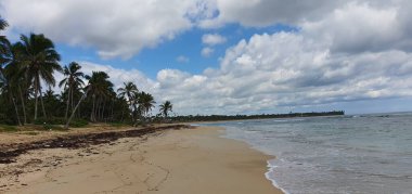 Punta Cana Dominik Cumhuriyeti 'nde hindistan cevizi ağaçları olan sahil manzarası.