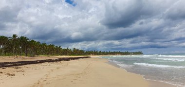 Punta Cana Dominik Cumhuriyeti 'nde hindistan cevizi ağaçları olan sahil manzarası.