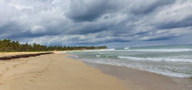Punta Cana Dominik Cumhuriyeti 'nde hindistan cevizi ağaçları olan sahil manzarası.